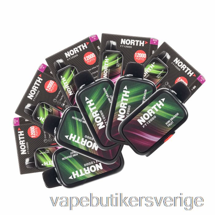 Vape Sverige [10-pack] North Ft12000 Engångs